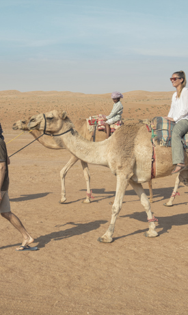 Camel Riding