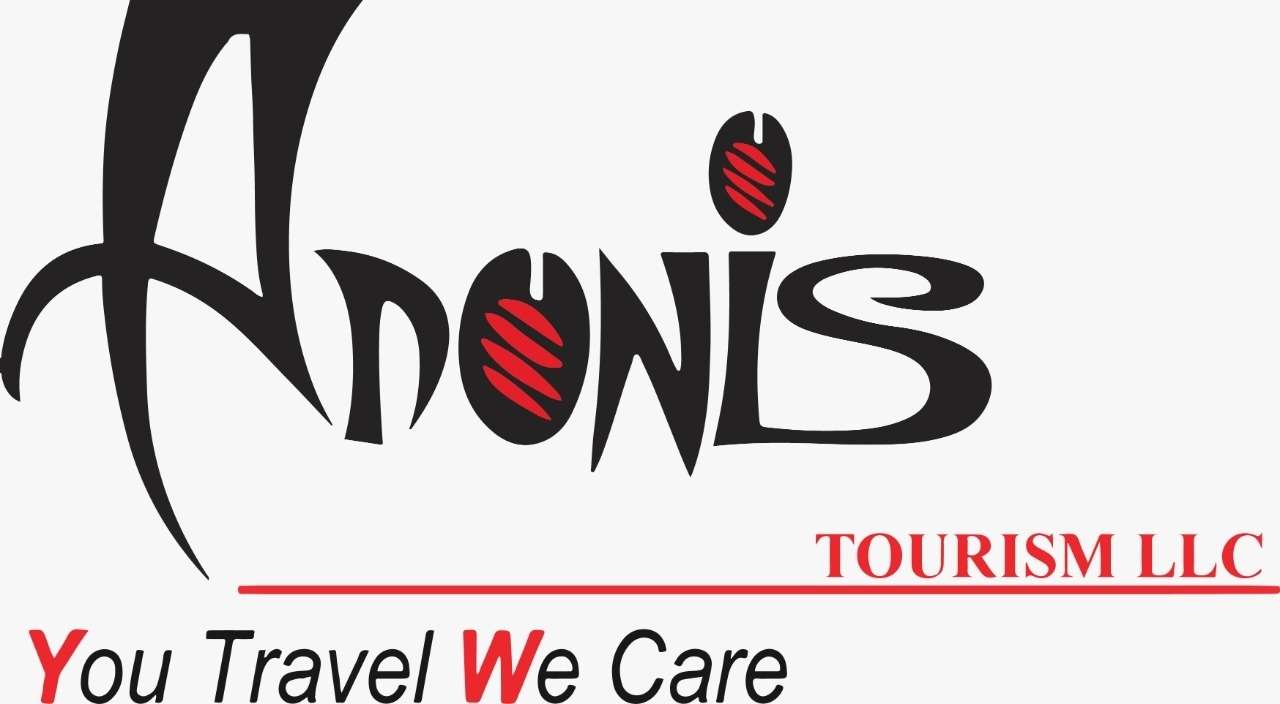 ADONIS TRAVEL AND TOURISM LLC