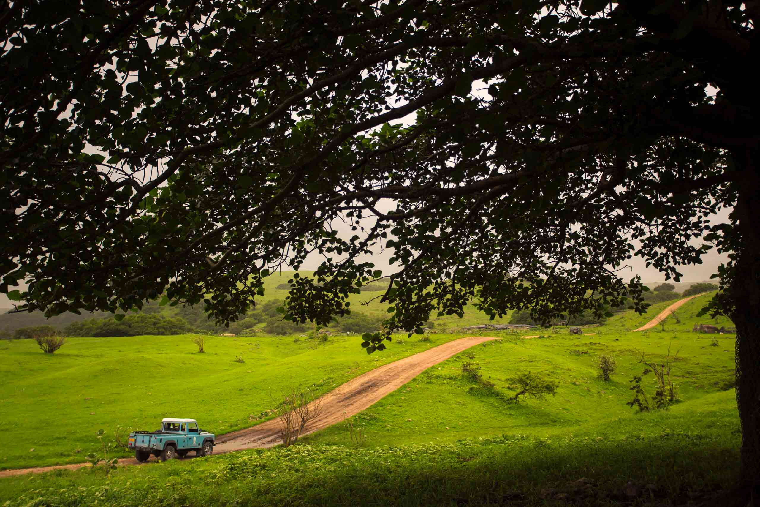 Image for Camel Riding71