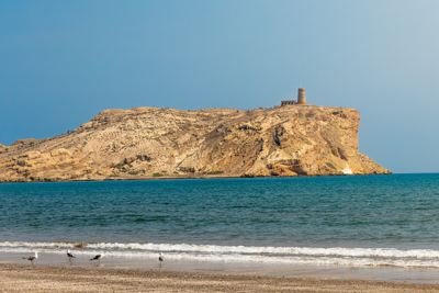 شاطئ السوادي