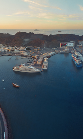 السفن السياحية