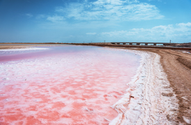 البحيرات الوردية