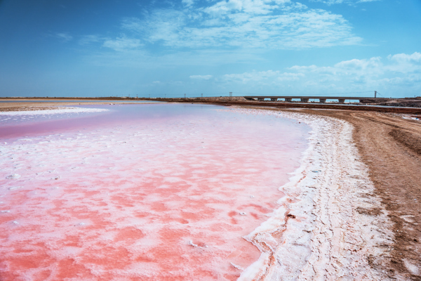 البحيرات الوردية
