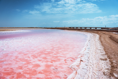 البحيرات الوردية