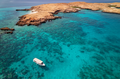 محمية جزر الديمانيات